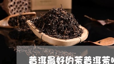 普洱最好的茶普洱茶哪种好怎么选/2023060269460