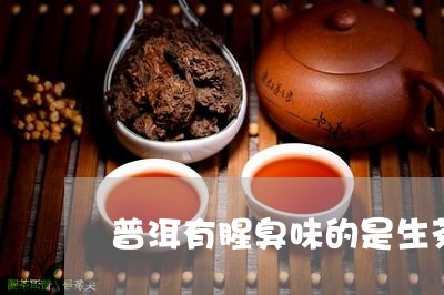 普洱有腥臭味的是生茶还是熟茶/2023053032516