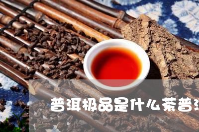 普洱极品是什么茶普洱茶属哪一类茶/2023060394947