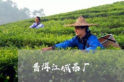 普洱江城茶厂/2023090748259