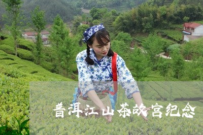 普洱江山茶故宫纪念/2023042877538