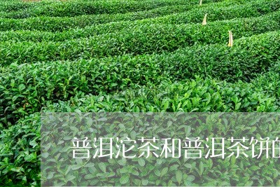 普洱沱茶和普洱茶饼的区别在哪里/2023082952713