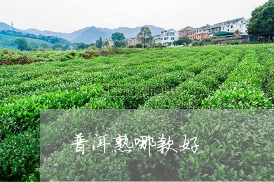 普洱熟哪款好/2023090787949