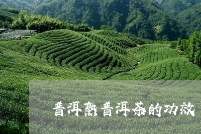 普洱熟普洱茶的功效/2023070946259