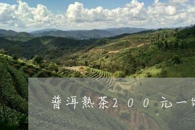 普洱熟茶200元一饼的推荐/2023052770704