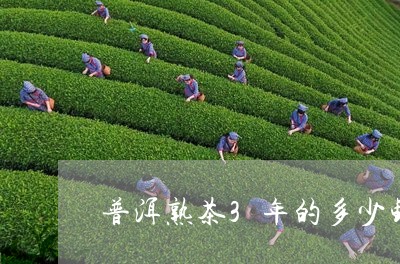 普洱熟茶3年的多少钱/2023092415036