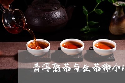 普洱熟茶与生茶哪个比较好/2023051069826