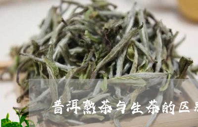 普洱熟茶与生茶的区别班章王普洱茶/2023060305269