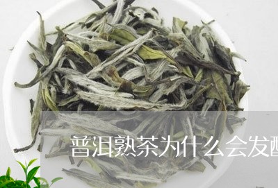 普洱熟茶为什么会发酸/2023061397259