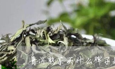 普洱熟茶买什么牌子好/2023092414936