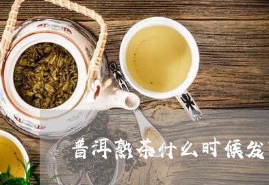 普洱熟茶什么时候发明/2023061358370