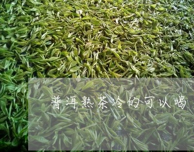 普洱熟茶冷的可以喝/2023042783917