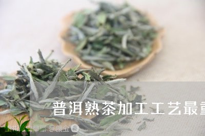 普洱熟茶加工工艺最重要的一个程序/2023060387060