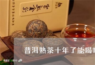 普洱熟茶十年了能喝吗/2023092499504