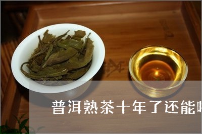 普洱熟茶十年了还能喝熟普洱茶图片/2023060371595