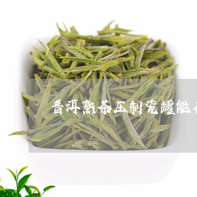 普洱熟茶压制瓷罐能存放普洱茶吗/2023060396571