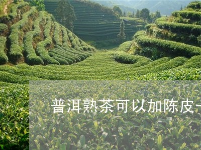 普洱熟茶可以加陈皮一起泡吗/2023052719615