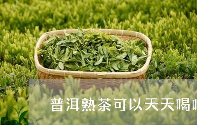 普洱熟茶可以天天喝吗/2023061371615