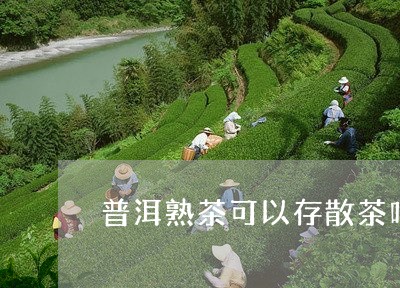 普洱熟茶可以存散茶吗/2023092473725