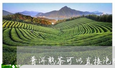 普洱熟茶可以直接泡吗/2023092452948