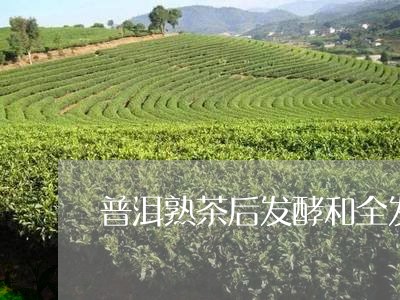 普洱熟茶后发酵和全发酵那个好/2023053163735