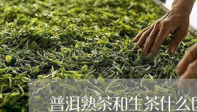 普洱熟茶和生茶什么区别/2023050604249