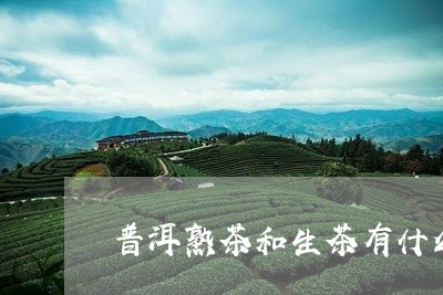 普洱熟茶和生茶有什么区别勐海/2023053028582