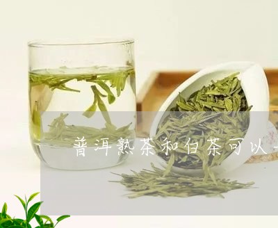 普洱熟茶和白茶可以一起泡吗/2023052791834