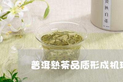 普洱熟茶品质形成机理/2023061352826