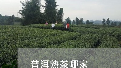 普洱熟茶哪家/2023090777793