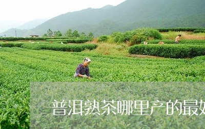 普洱熟茶哪里产的最好/2023061425158