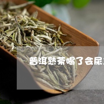 普洱熟茶喝了会尿血吗/2023092415948