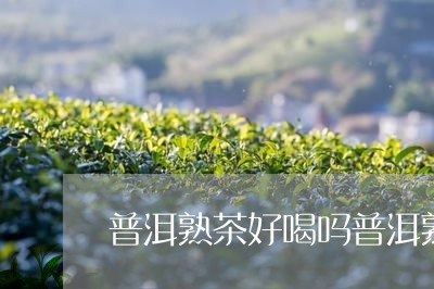 普洱熟茶好喝吗普洱熟茶哪个好点/2023060316168