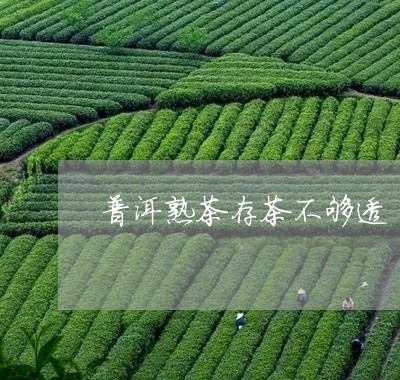 普洱熟茶存茶不够透/2023061312825