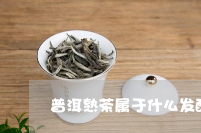 普洱熟茶属于什么发酵/2023061324028