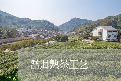 普洱熟茶工艺/2023090740504