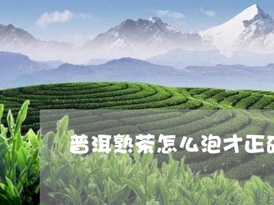 普洱熟茶怎么泡才正确/2023092538393