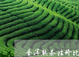 普洱熟茶性价比高的/2023071146848