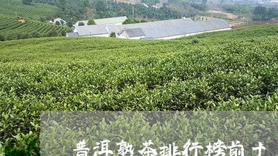 普洱熟茶排行榜前十/2023042709481