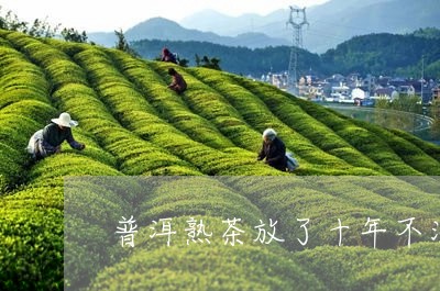 普洱熟茶放了十年不滑/2023092446170