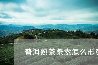 普洱熟茶条索怎么形容/2023061361949