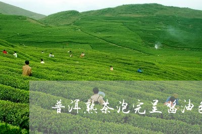 普洱熟茶泡完呈酱油色/2023092521504