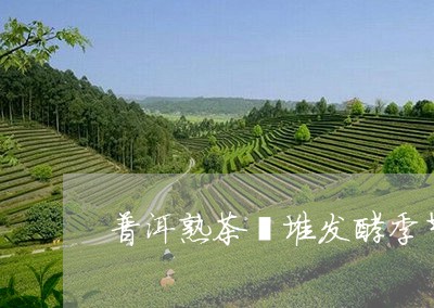 普洱熟茶渥堆发酵季节/2023061340472