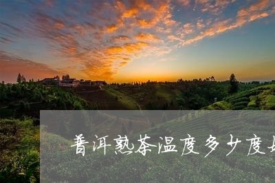 普洱熟茶温度多少度好/2023061380512