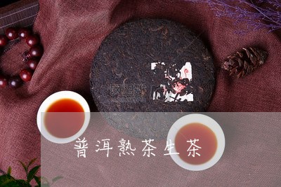 普洱熟茶生茶/2023042956750