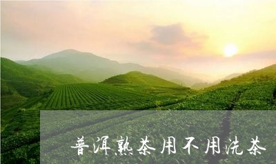 普洱熟茶用不用洗茶/2023042727594