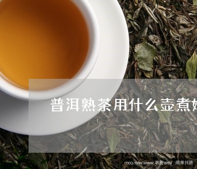 普洱熟茶用什么壶煮好/2023061380615