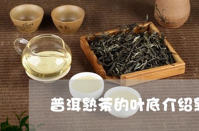 普洱熟茶的叶底介绍熟普叶底软烂/2023060370706