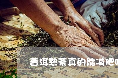 普洱熟茶真的能减肥吗/2023061349160