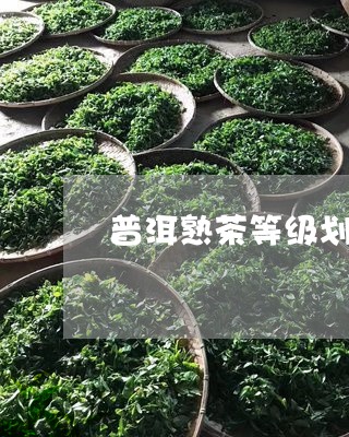 普洱熟茶等级划分标准/2023061405136